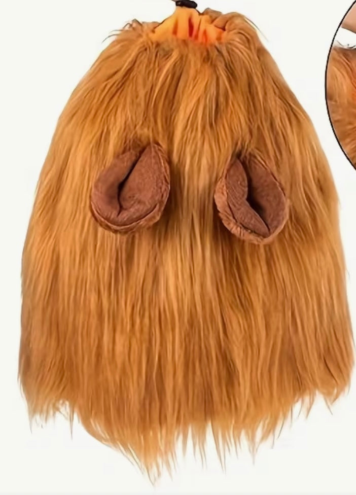 Lion Costume for Dogs
